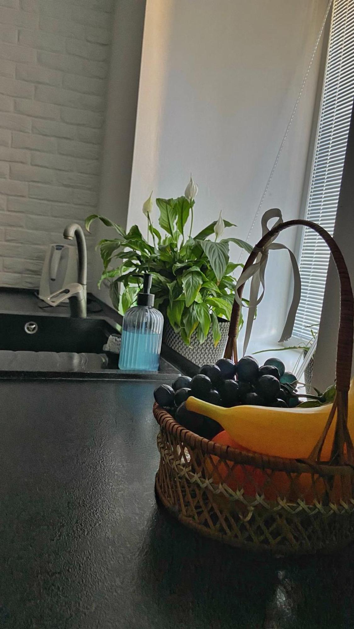 Apartment у старому місті Kamianets-Podilskyi